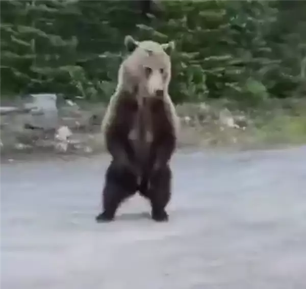���ô�Ů���޹�;��ż��Ұ�����ܣ�����¼���������Ӱ��