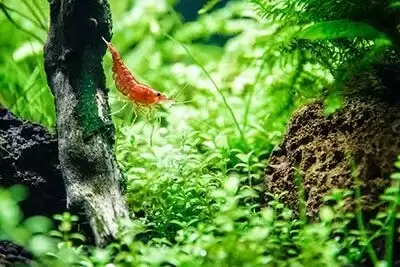 ��ȫ����ˮԴ�������ϣ���ЩϺ����ô�����ģ�