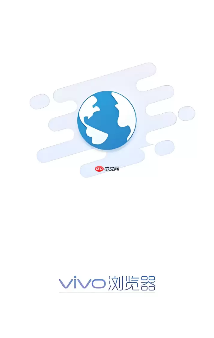 vivo��������߰�װ���������������