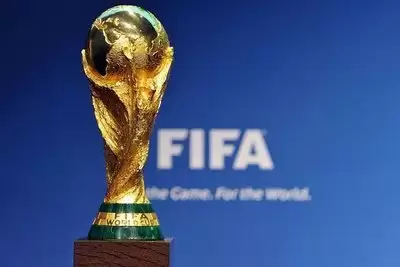 ���籭��������ĸ�����
