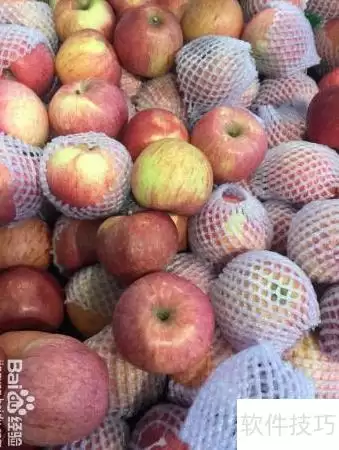 ��ȫ��Ʒƻ����ѡʵ��ָ����ѡ������