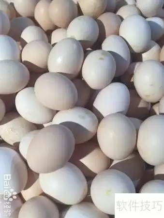 ��Ʒ������ѡָ�� ������Щʵ�ü���