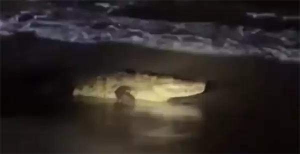 ī���������̲������Ϯ�ˣ�28�����ӱ�����ˮ������