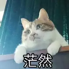 ԭʼ�����ħ�㳡��Ф�����߷�����