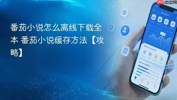 ����С˵ȫ�����������뻺�淽���̳�