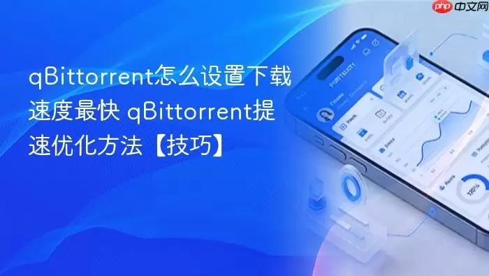 qBittorrent�����ٶ���������������Ż�����