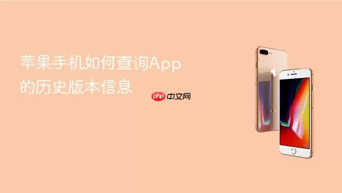 ƻ���ֻ���ѯApp��ʷ�汾��Ϣ�ķ���