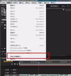 Premiere����Ч�������̳�
