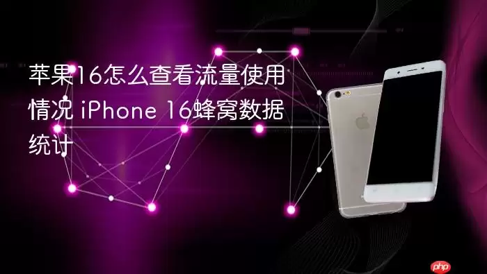 iPhone 16����ʹ������鿴����