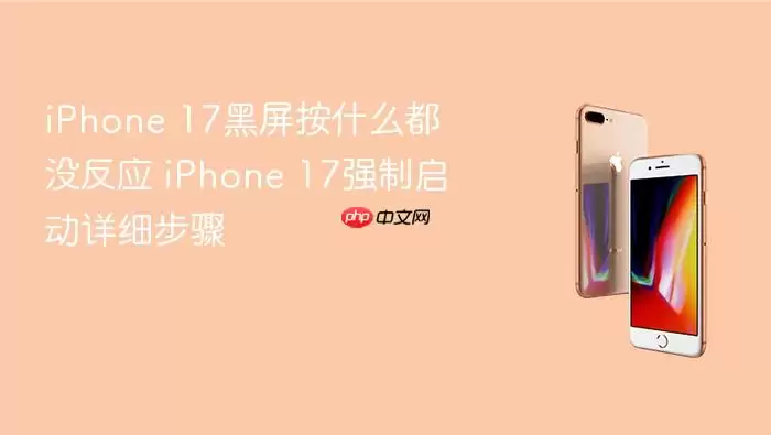 iPhone 17�����޷�������ǿ����������ָ��