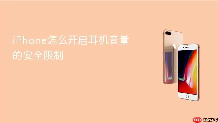 iPhone��������������ȫ���Ʒ���