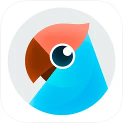 ���е�����١�APP��AI������ô�ã������ģ�