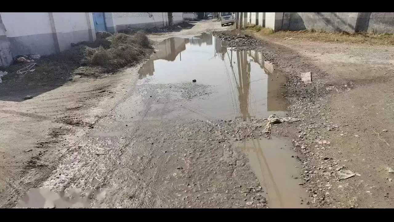 ����YOLO11�ĵ�·��ˮ�Ӿ���⣺�����ݼ�����������ѵ��ʵ��