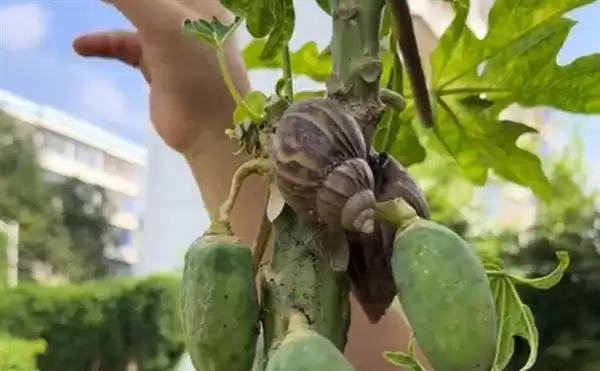 Σ�յķ��޴���ţ����ȫ�����ţ�ϵ������������