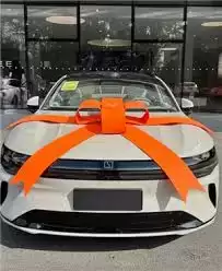 ���APP��������Ϣ����ָ��