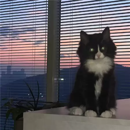 �������˸�Ů��������ѡ100��