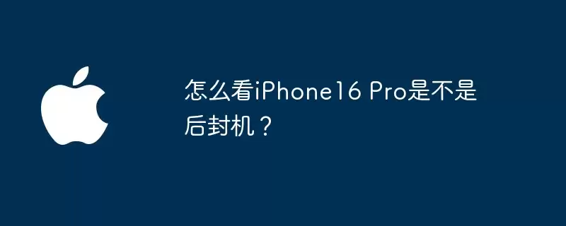 怎么看iPhone16 Pro是不是后封机?_wishdown.com 怎么看iPhone16 Pro是不是后封机?_wishdown.com