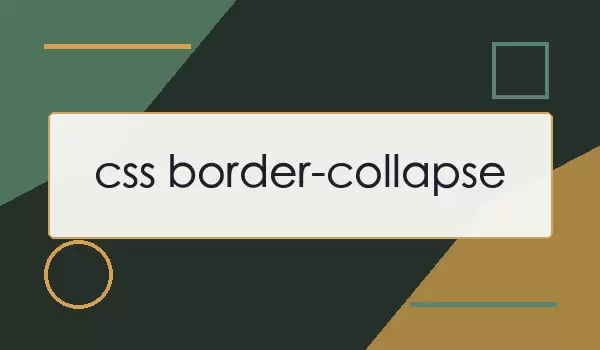 css border-collapse | ����߿�ϲ���������