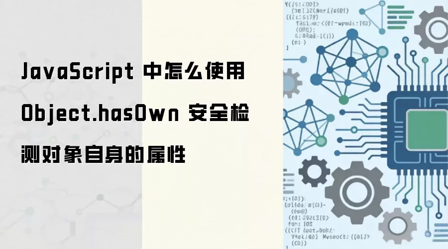 JavaScript�����ʹ��Object.hasOwn��ȫ��������������