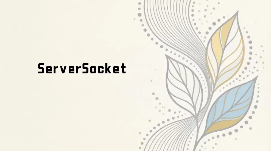 ServerSocket ��ʲô��ԭ�����÷��볣���������