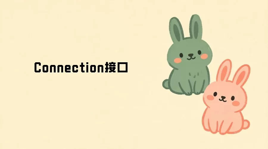 Connection�ӿ�ʹ��˵���뿪������ָ��
