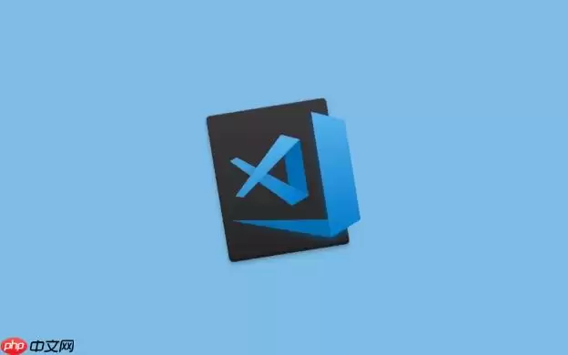 VSCode��װ�����һ������ǰ�˿����ر������