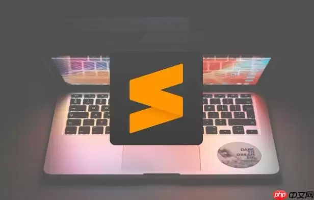 Sublime Text����R�������л��������ݷ����ű��