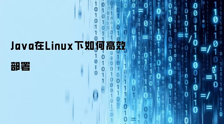 Java �� Linux ����θ�Ч���𣺴ӻ���׼�����Զ�������