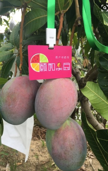 �ú͹�԰ V1.0.0 ׬Ǯ��