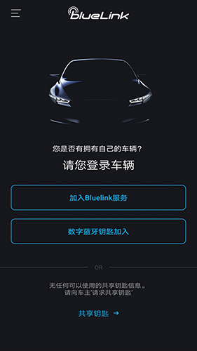 blueLink V2.62 ׿