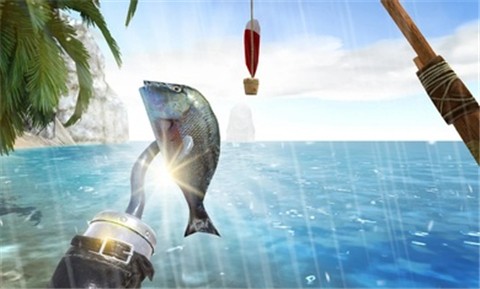 ���ĵ��� ��׿��