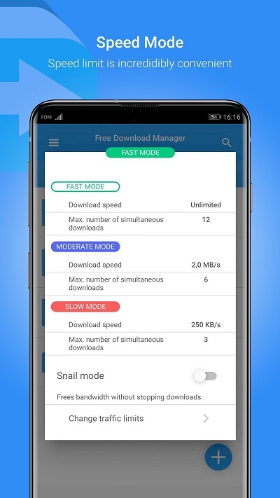 Free Download Manager V6.10.0.3016 ׿