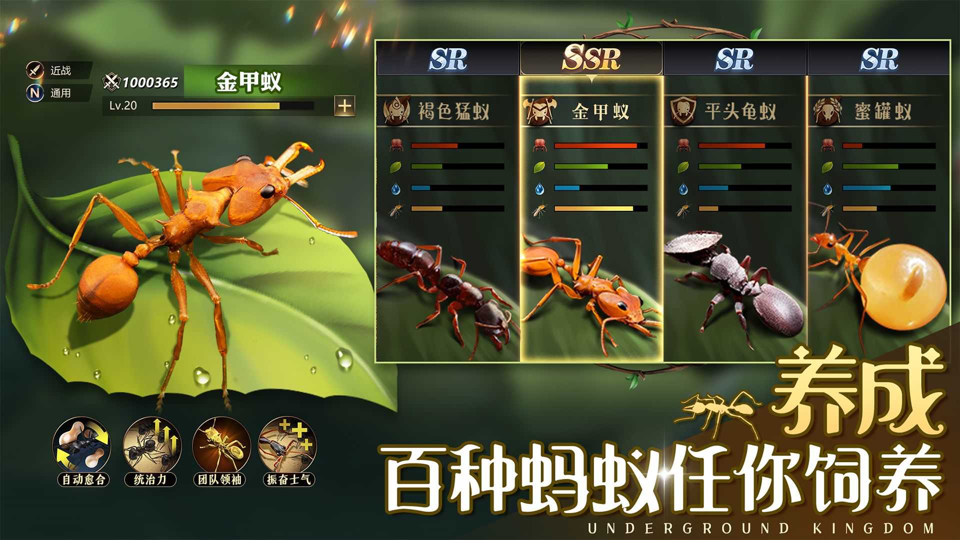 ģϷװ v2.5.5