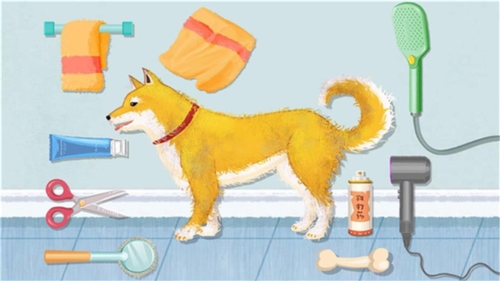 ������ѹ�� V1.0