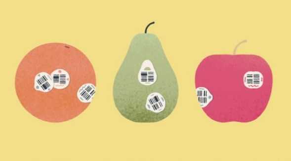 ����һ��������� v1.0.1