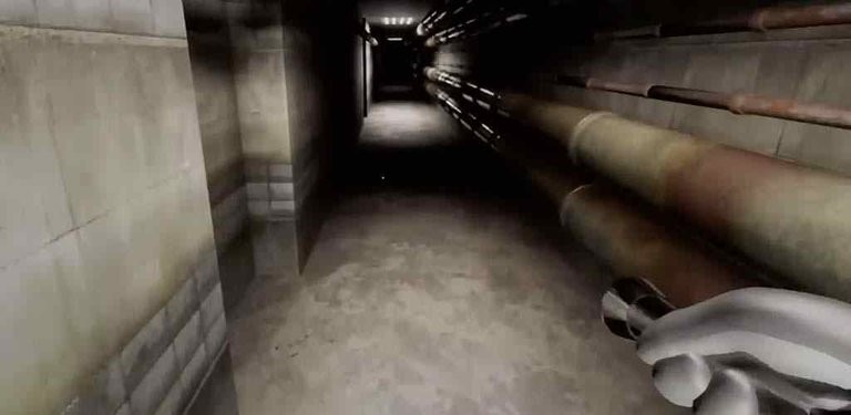  v13