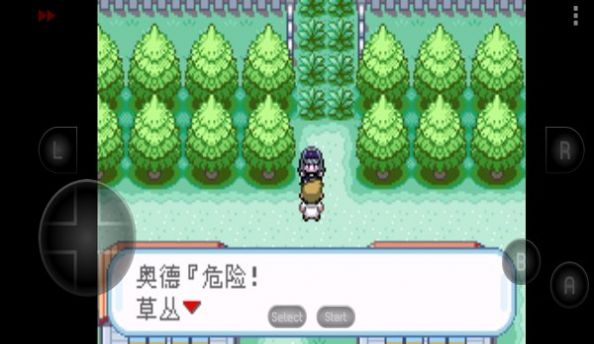 �ڴ����־���֮·������� v009