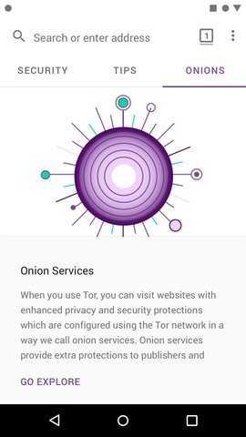 tor v10.0.16