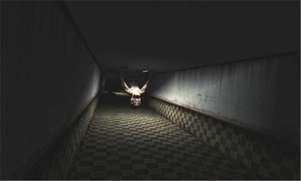 �ֲ��Թ���Ϸ��װ v1.0