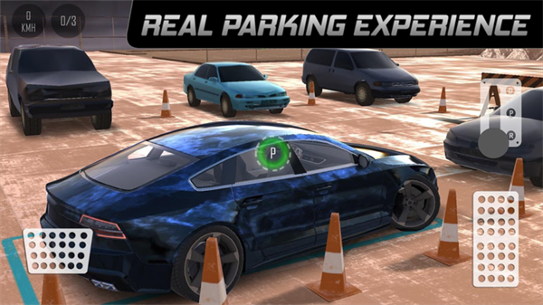 carparkingֶͣ2024 v4.8.4.2