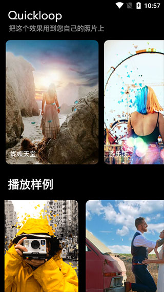 pixaloopרҵѰv1.2.6׿ v1.101