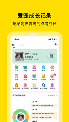 С޳ v3.9.0