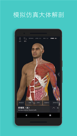 Complete Anatomyƽ v9.5.0