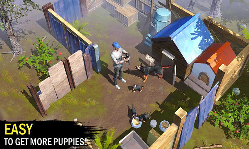 Z�������������� v1.2.25