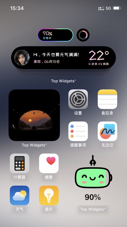 topwidgets׵ v1.101