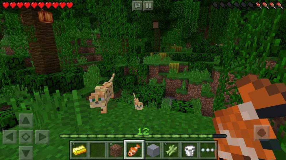 minecraft1.21ʰ2024 v2.0.5.1