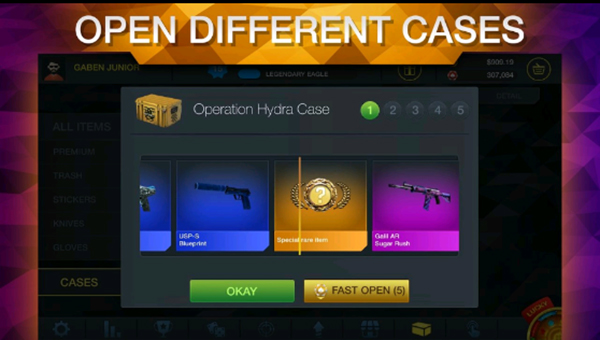 csgoģİ v2.1.8