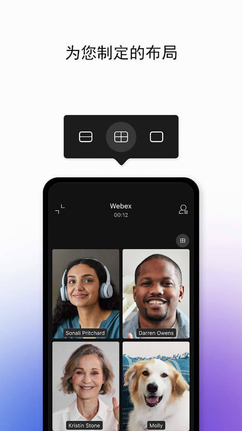 webex° 42.5.0