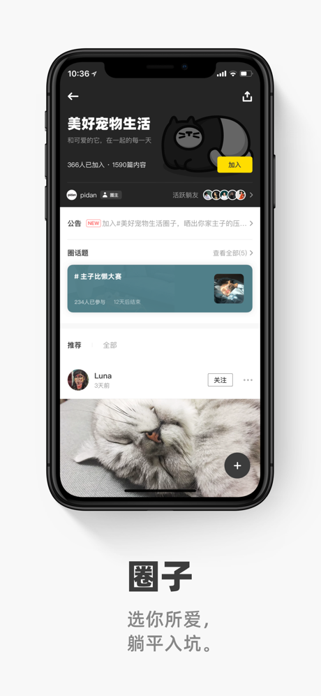 ƽapp° 1.5.2