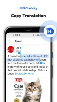 Hi Dictionary 2.2.5.8